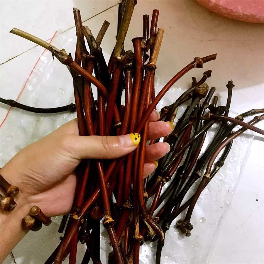 篮球里的pg是什么意思 篮球里面的pg是什么意思 篮球里的pg是什么意思 篮球里面的pg是什么意思