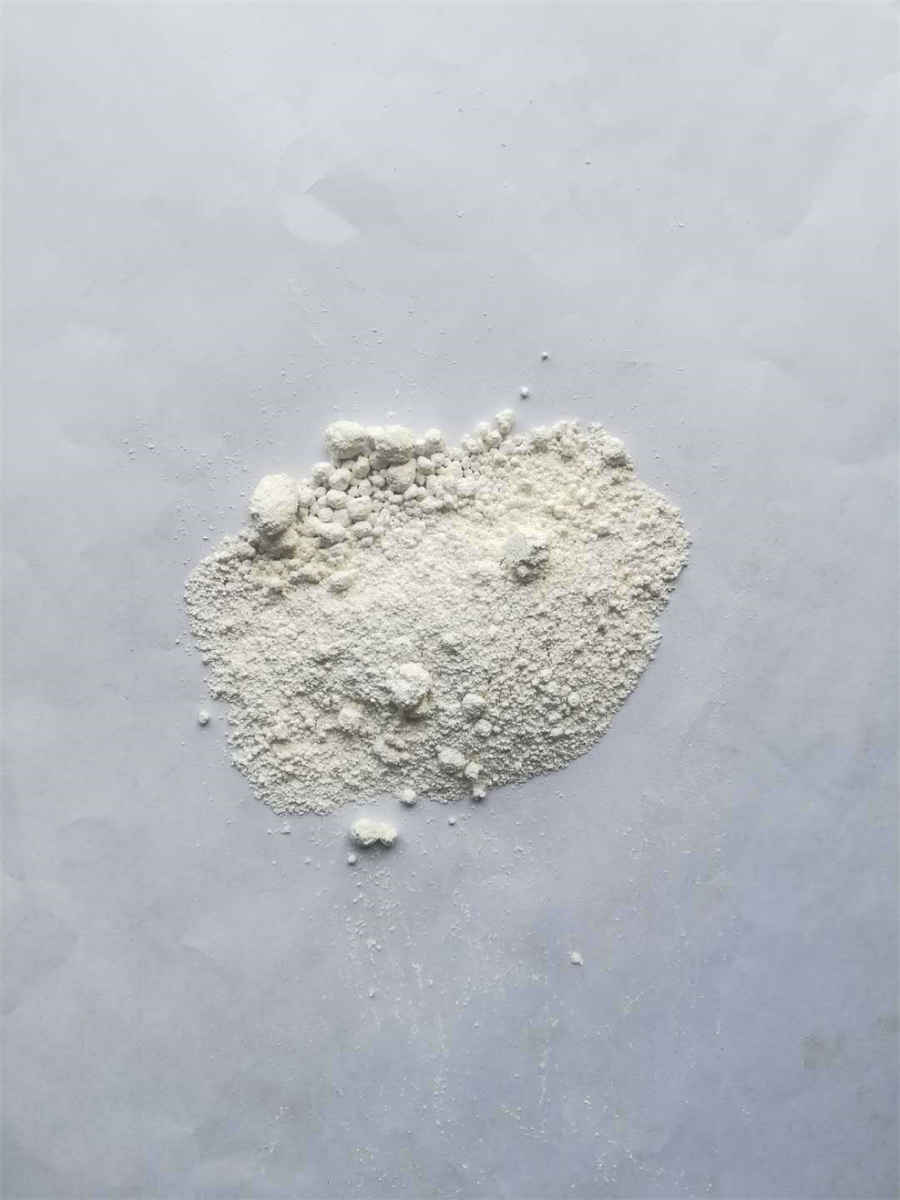 小乌贼怎么做好吃(新鲜乌贼怎么做好吃) 小乌贼怎么做好吃(新鲜乌贼怎么做好吃)