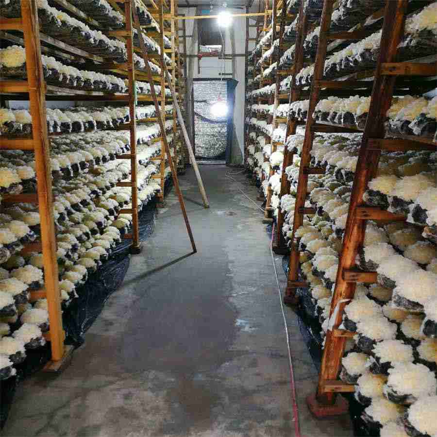 双立人刀具(德国刀具品牌) 双立人刀具(德国刀具品牌)