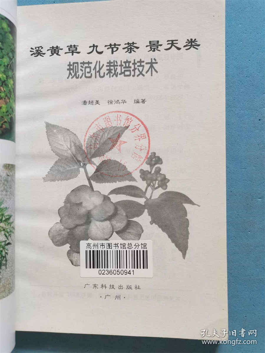 当归黄芪泡水喝的功效中药材功效大全 当归黄芪泡水喝的功效中药材功效大全