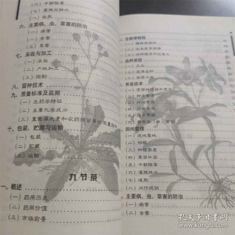 烧烤贩杀人潜伏12年变“牙医”被擒获 烧烤贩杀人潜伏12年变“牙医”被擒获