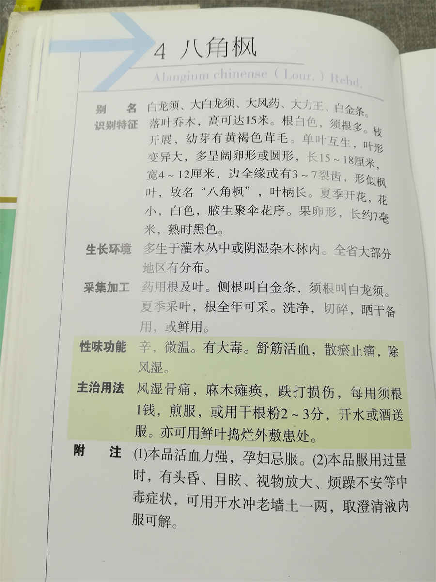 世界散打冠军是谁 世界散打冠军是谁