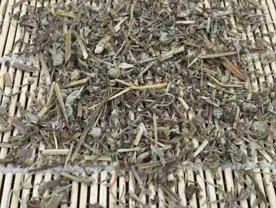 吃铁皮石斛注意事项及禁忌中药材食用配伍禁忌 吃铁皮石斛要禁忌什么 吃铁皮石斛注意事项及禁忌中药材食用配伍禁忌 吃铁皮石斛要禁忌什么