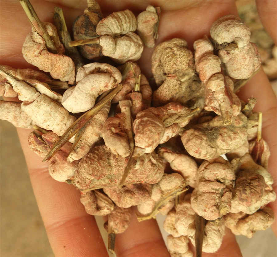 大葱卷饼的做法家常做法怎么做好吃热量卡路里 大葱卷饼的做法家常做法怎么做好吃热量卡路里