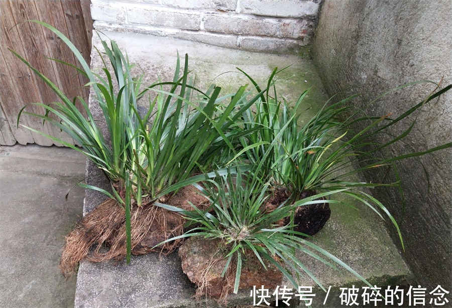 脸上起痤疮怎么治疗 掌握三方法可轻松治愈 脸上起痤疮怎么治疗 掌握三方法可轻松治愈