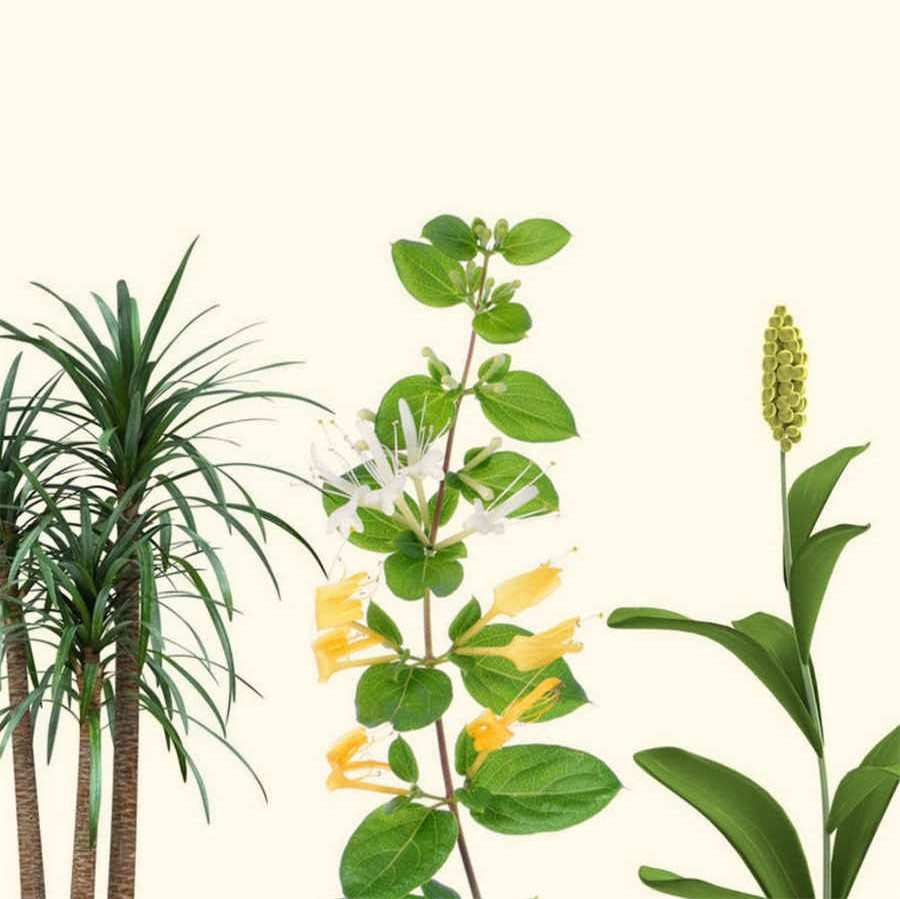 第一节 腹前外侧壁(当前章节内容组合) 第一节 腹前外侧壁(当前章节内容组合)