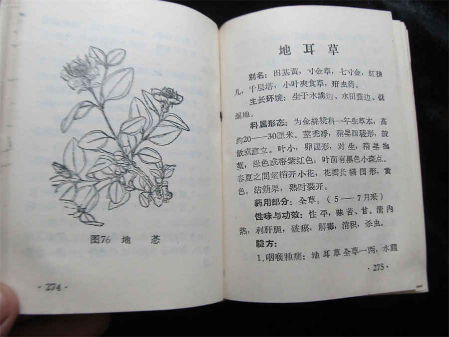小孩换牙一共换几颗 小孩换牙一共换几颗正常 小孩换牙一共换几颗 小孩换牙一共换几颗正常