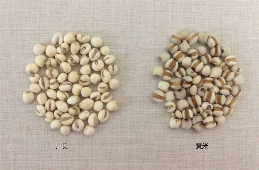 腋毛有什么作用 腋毛的作用 腋毛有什么作用 腋毛的作用