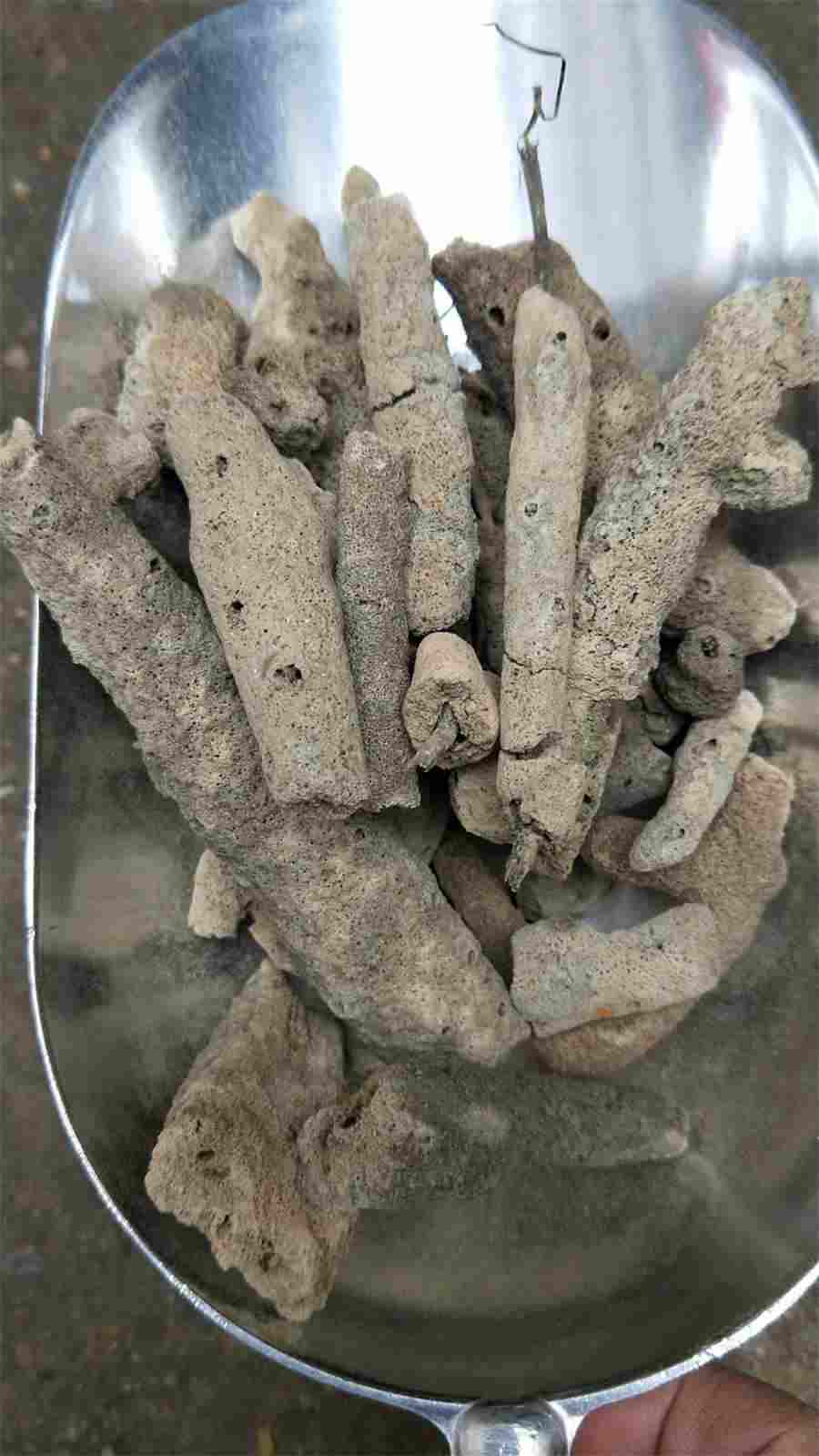 李化楠 李化楠 李化楠 李化楠
