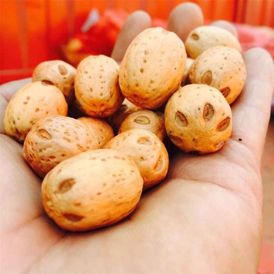 狗狗鼻子流脓该怎么办(狗狗眼睛鼻子流脓有时还喘气) 狗狗鼻子流脓该怎么办(狗狗眼睛鼻子流脓有时还喘气)