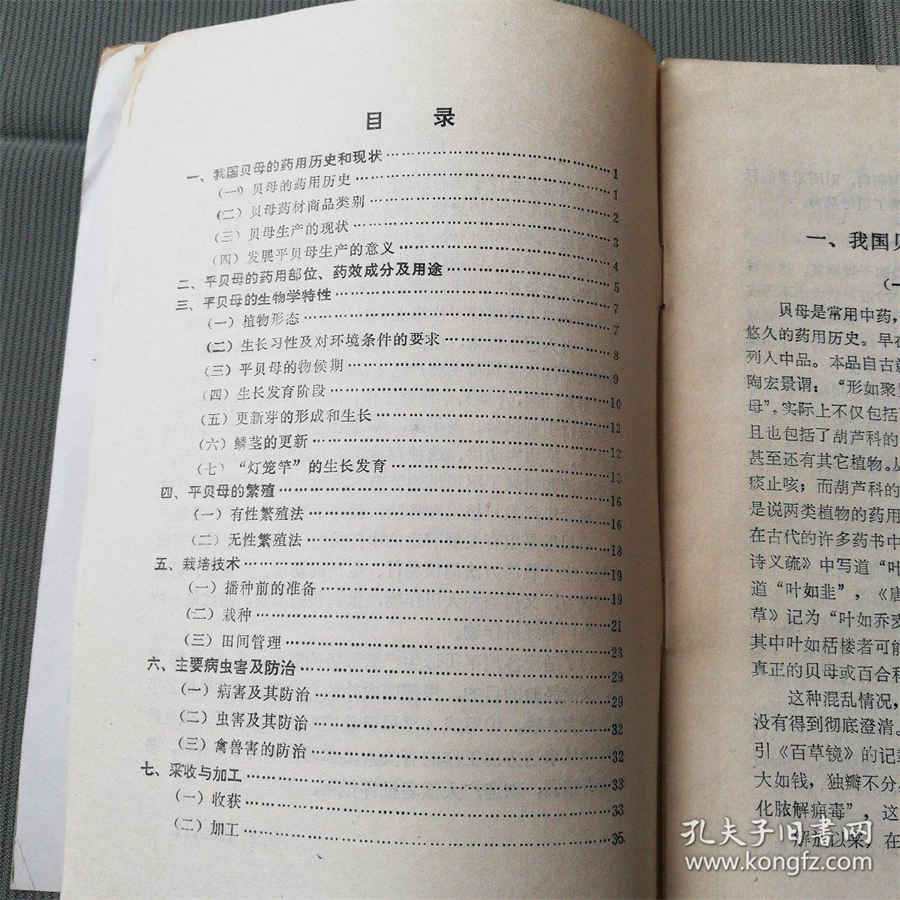 广州亚运会运动村在哪里 广州亚运会运动村在哪里