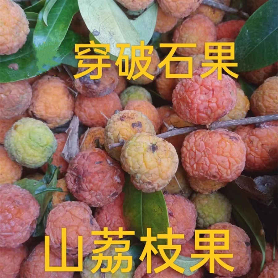 排球比分是多少比多少 排球比分是多少比多少