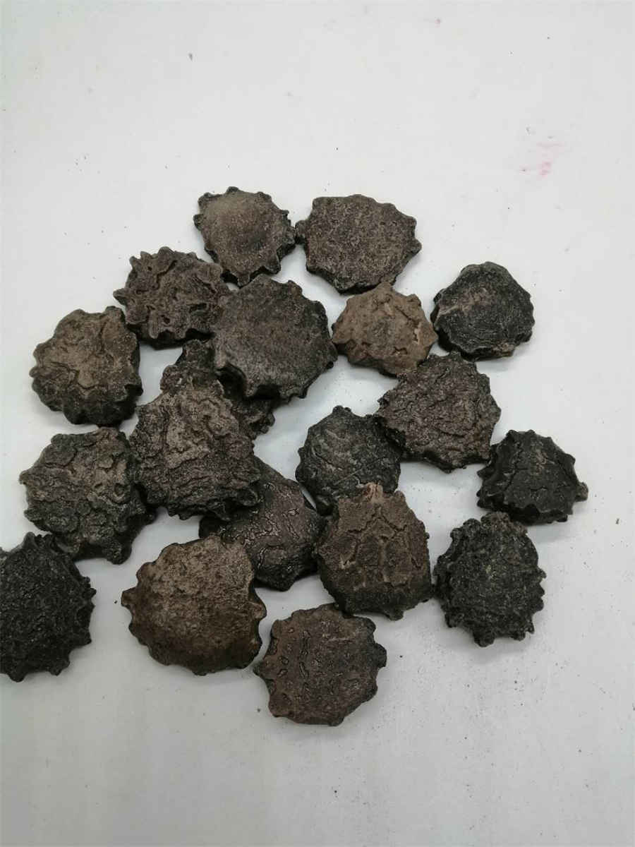五指毛桃根的功效与作用中药材功效大全 五指毛桃根的功效与作用中药材功效大全