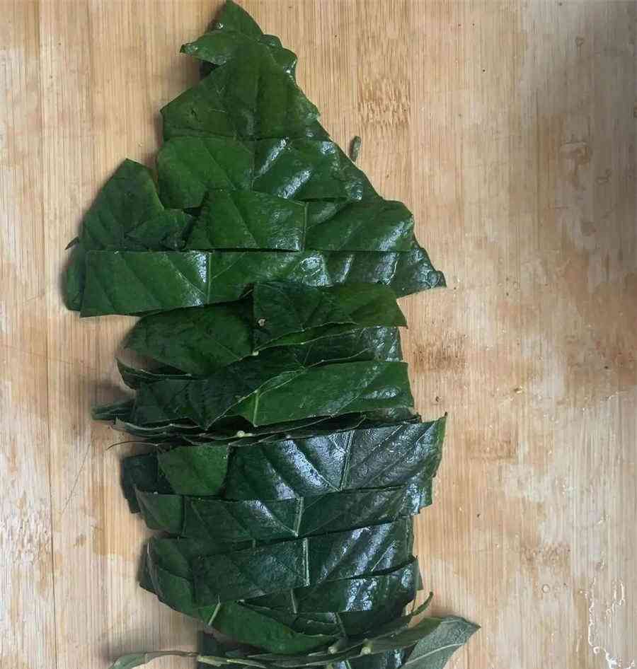 茯神 泉壤 泉壤 茯神 泉壤 泉壤