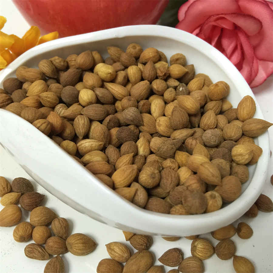 兔肉怎么做比较好吃4种做法,家常兔子肉怎么做好吃又简单易学(3/6) 兔肉怎么做比较好吃4种做法,家常兔子肉怎么做好吃又简单易学(3/6)