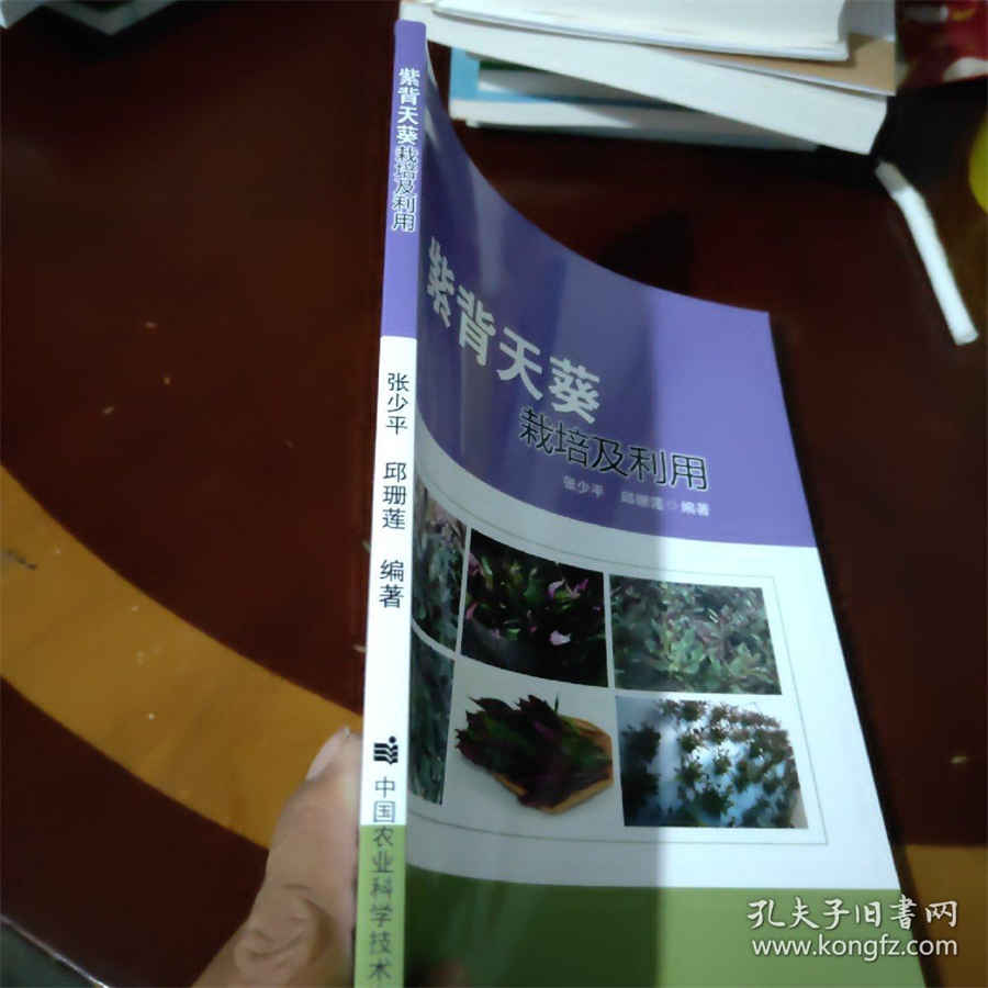新个人所得税减免税优惠政策(关于个税减免标准及细则) 2021个人所得税减免标准及细则 新个人所得税减免税优惠政策(关于个税减免标准及细则) 2021个人所得税减免标准及细则