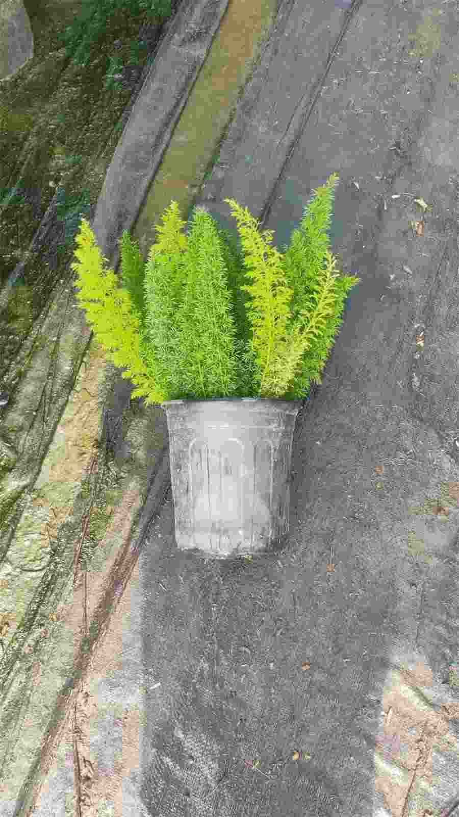 穿越机和无人机的区别 穿越机和无人机 穿越机和无人机的区别 穿越机和无人机