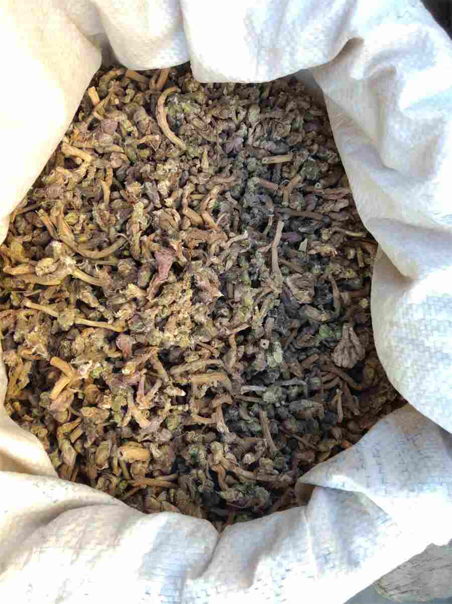 牝户 牝户一张一合 牝户 牝户一张一合