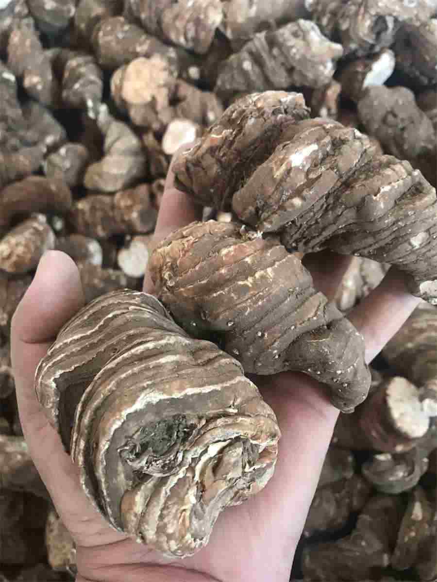 进口关税税率是多少(汽车进口关税税率是多少) 进口汽车关税是多少怎么算 进口关税税率是多少(汽车进口关税税率是多少) 进口汽车关税是多少怎么算