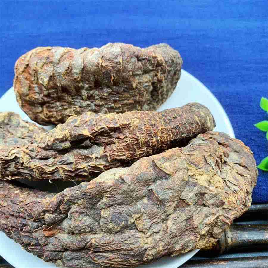 性命双修 术术 术术 性命双修 术术 术术