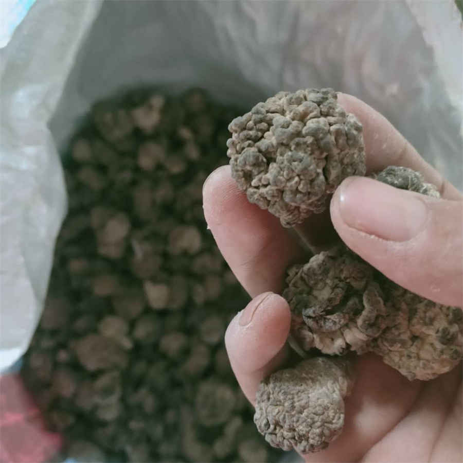 轻松的死法真的有吗,看完这些劝退你 轻松的死法真的有吗,看完这些劝退你