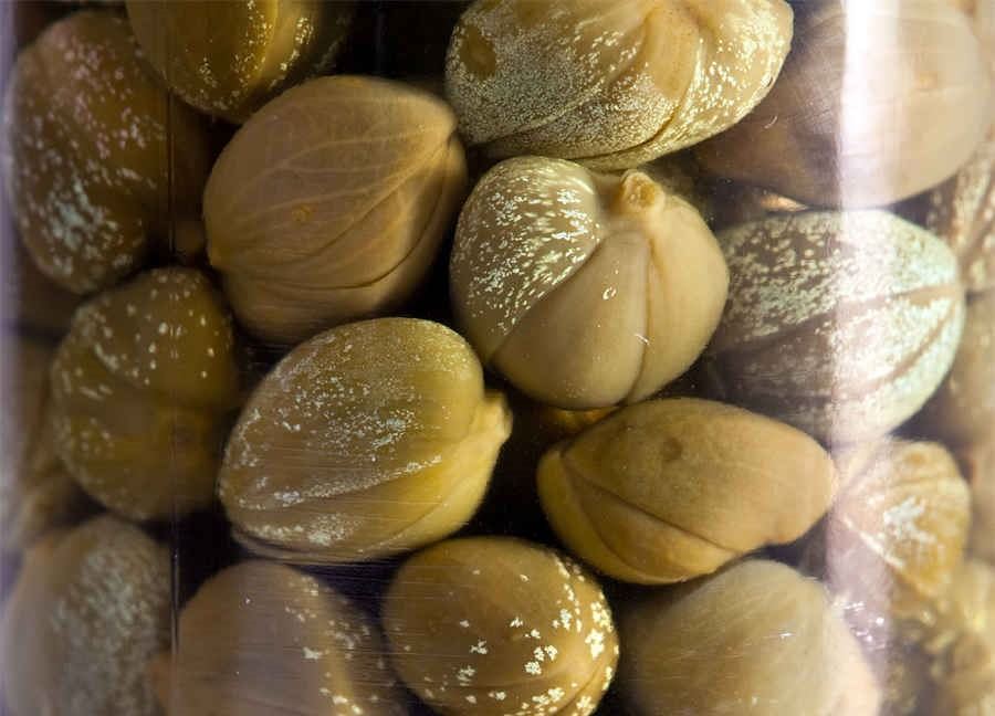行同狗彘是什么意思行同狗彘的解释汉语词典 行同狗彘是什么意思行同狗彘的解释汉语词典