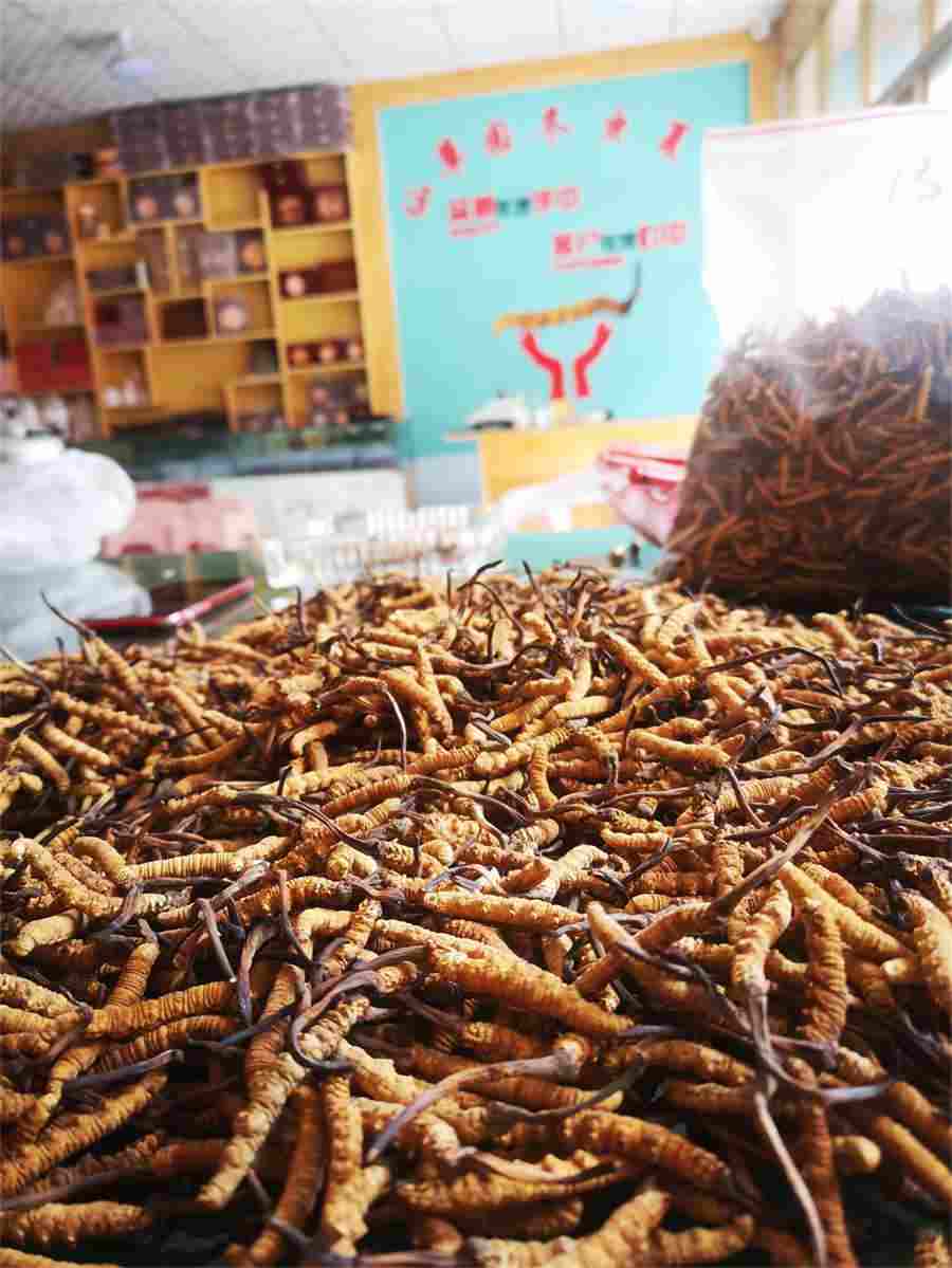 鹌鹑的做法鹌鹑的营养与吃法介绍 五香鹌鹑蛋的家常做法视频 鹌鹑的做法鹌鹑的营养与吃法介绍 五香鹌鹑蛋的家常做法视频