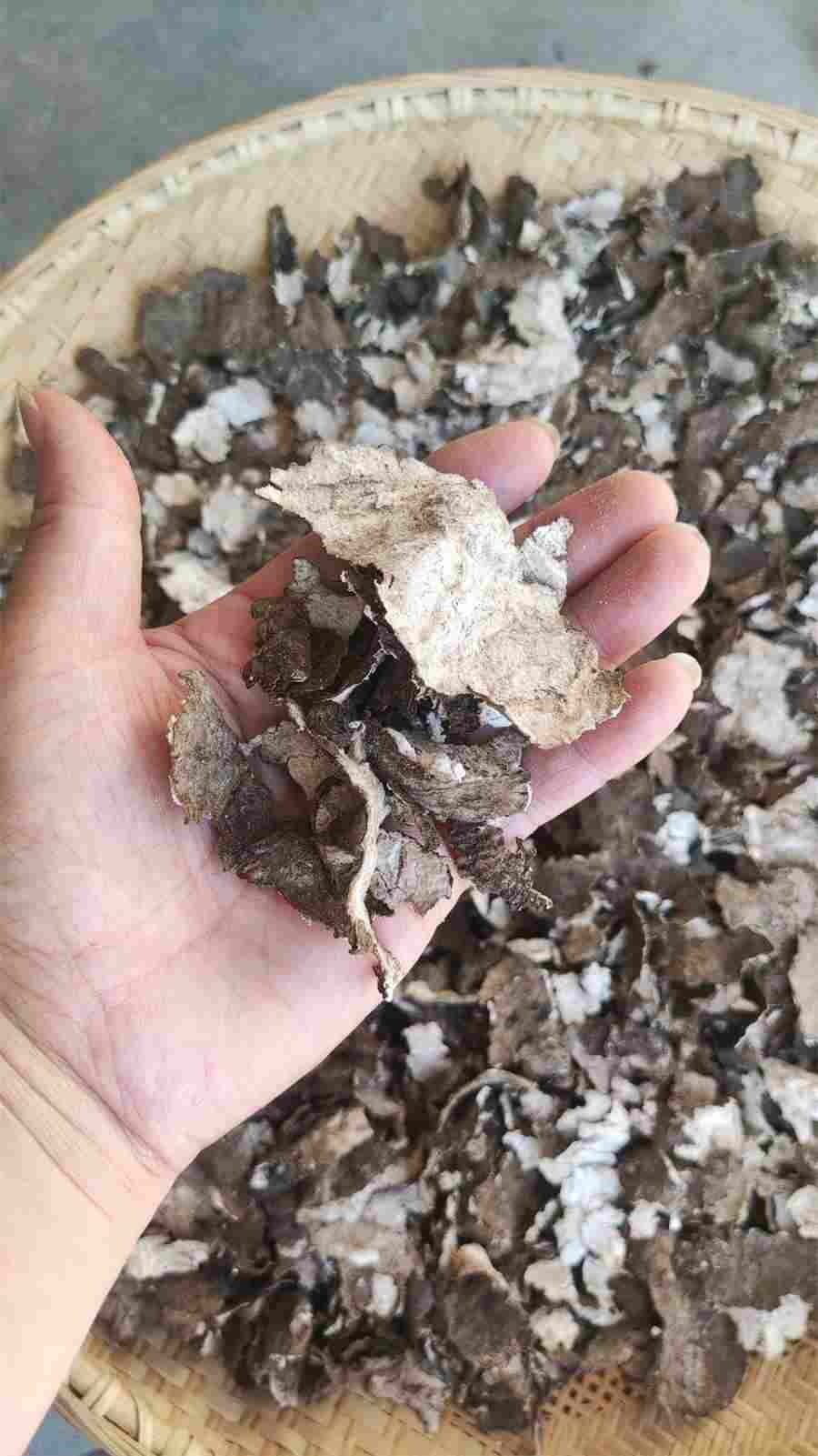 肉苁蓉的功能主治及用法用量中药材功效大全 肉苁蓉的功能主治及用法用量中药材功效大全