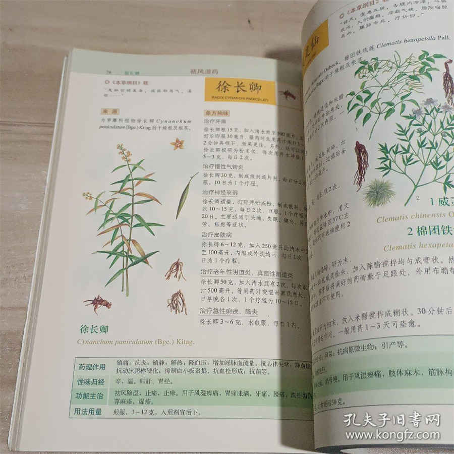 这9种菜市场常见的鱼类,它们的繁殖期你知道吗 鱼类繁殖频率 这9种菜市场常见的鱼类,它们的繁殖期你知道吗 鱼类繁殖频率