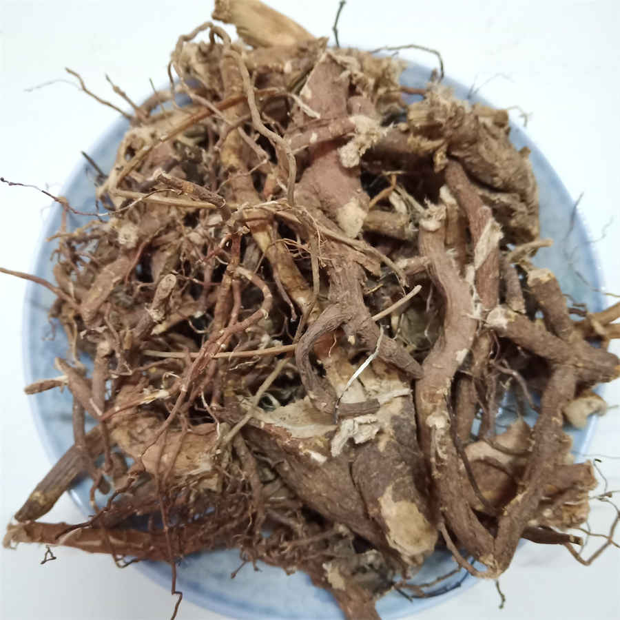 狗狗大便中球虫(泰迪球虫大便图片) 狗狗大便中球虫(泰迪球虫大便图片)