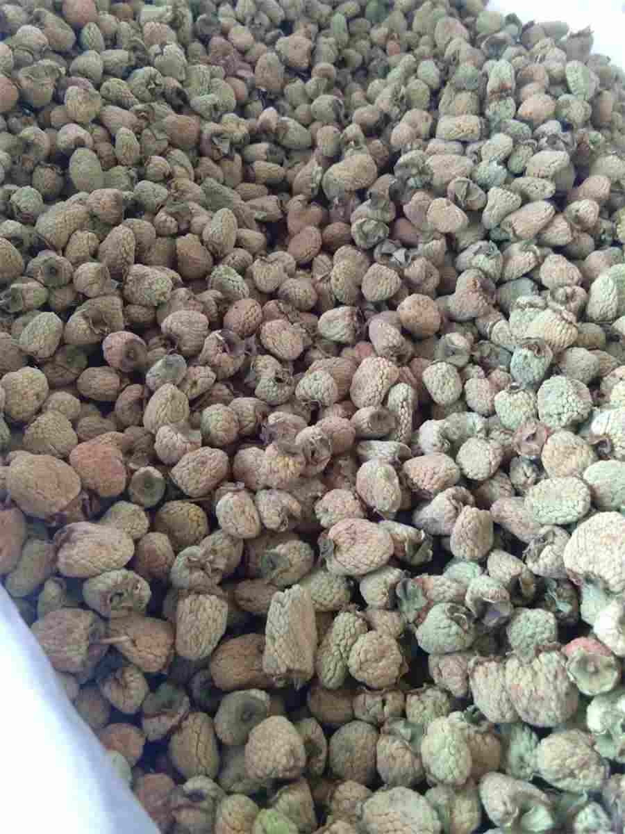 星期一到星期六的 缩写形式 从一月到十二月的英文及其缩写 星期一到星期六的 缩写形式 从一月到十二月的英文及其缩写