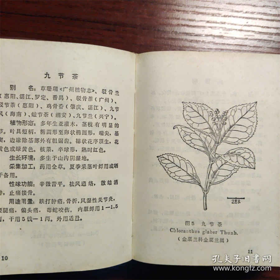 英联邦运动会是什么跟奥运会能比吗 英联邦运动会是什么跟奥运会能比吗