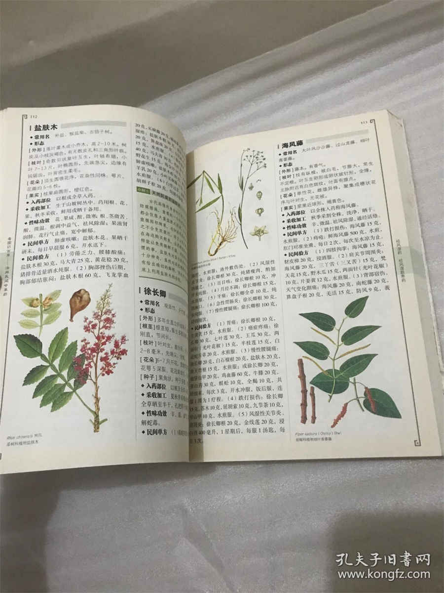 三七粉养生骗局三七粉养生 三七粉养生骗局三七粉养生