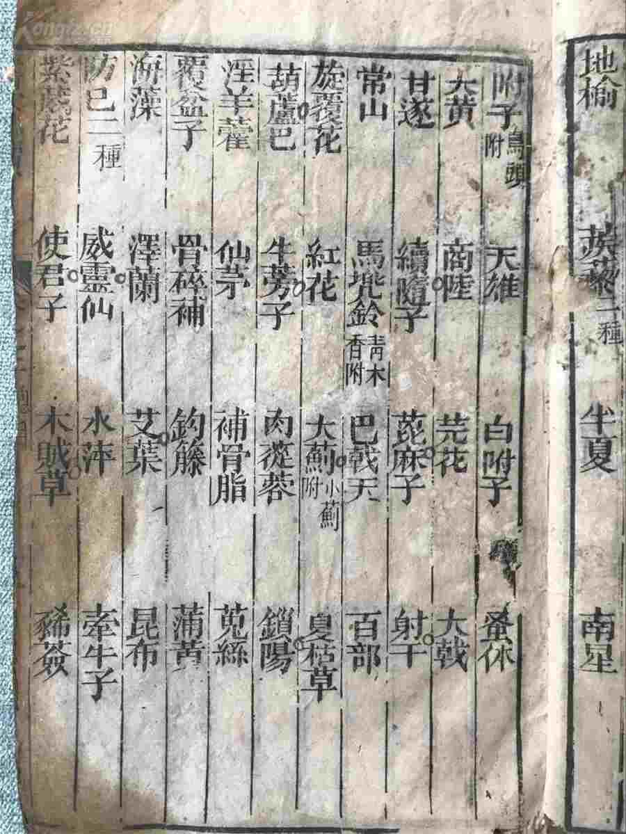 服药“忌辛辣”都是指什么 服药“忌辛辣”都是指什么