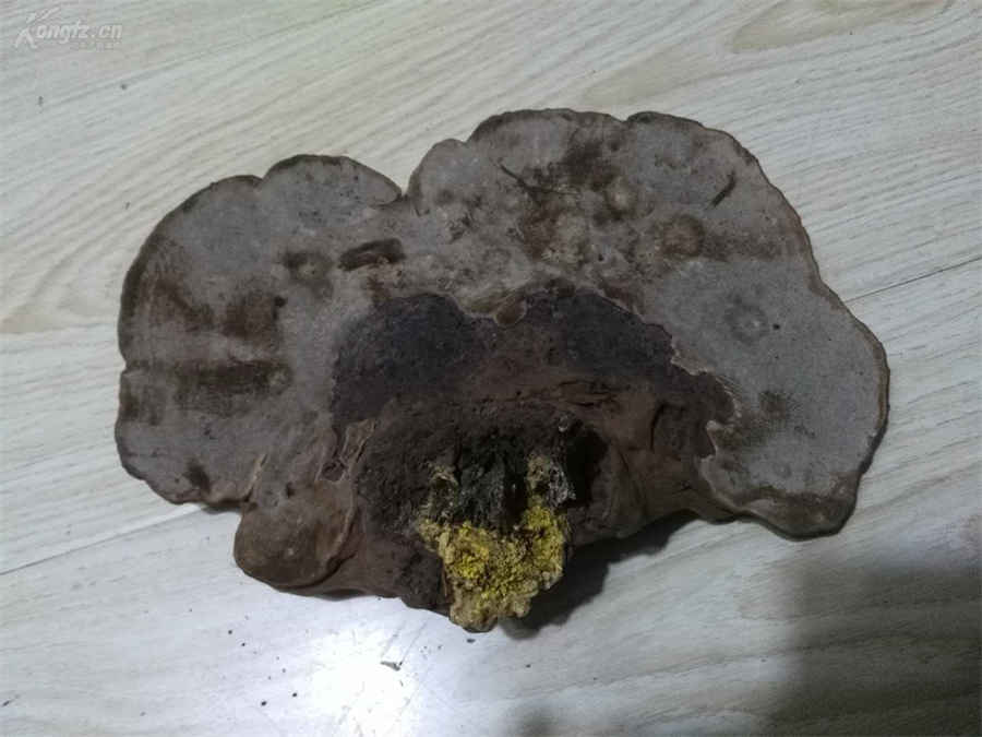 汤锅的做法大全汤锅系列菜谱有哪些 汤锅怎么做菜 汤锅的做法大全汤锅系列菜谱有哪些 汤锅怎么做菜