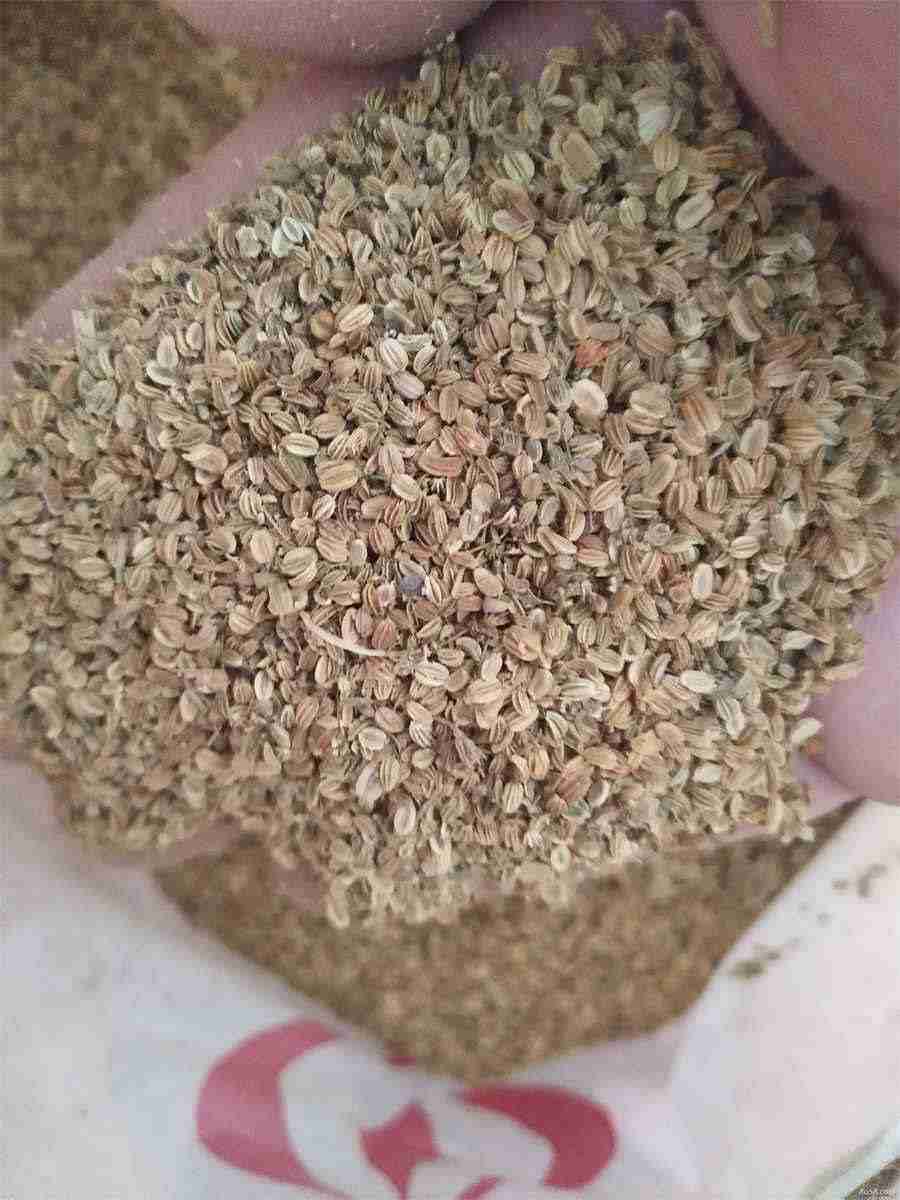 名牌包包有哪些?这8个著名品牌你一定要了解 名牌包包有哪些 前十名名称 名牌包包有哪些?这8个著名品牌你一定要了解 名牌包包有哪些 前十名名称
