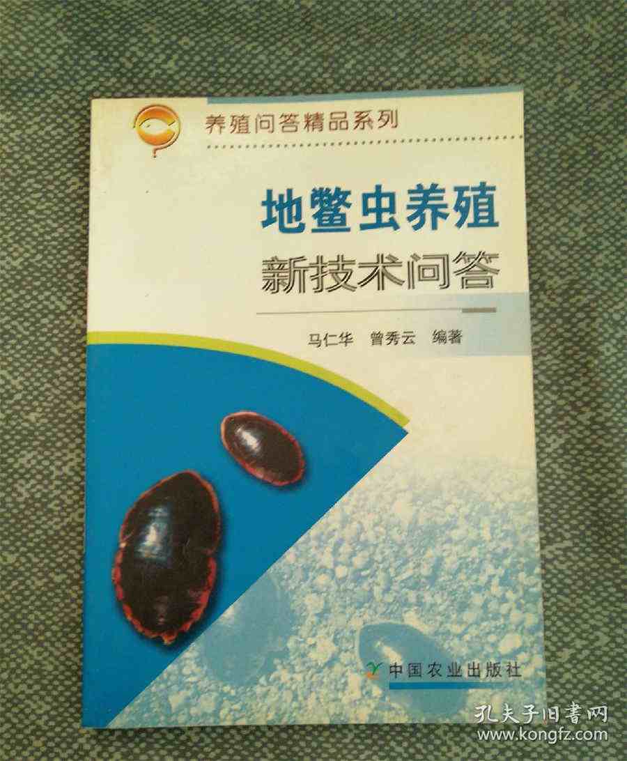 张序 张序 张序 张序