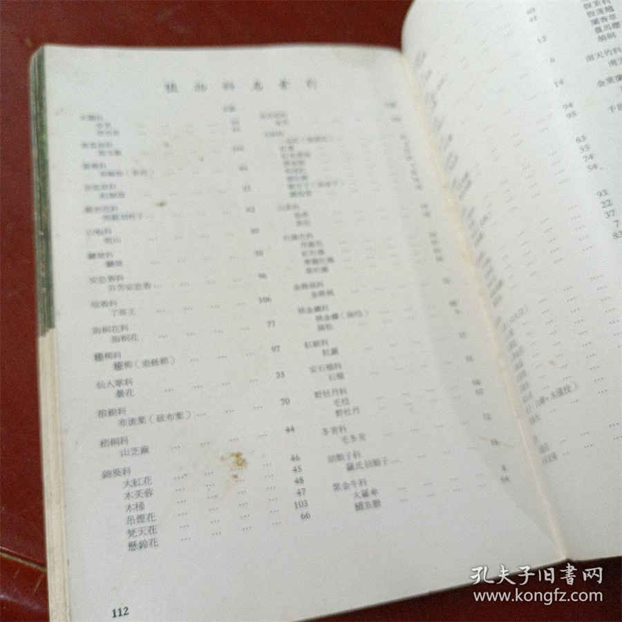 水飞蓟辉煌的明天 水飞蓟最后一个字怎么读 水飞蓟辉煌的明天 水飞蓟最后一个字怎么读