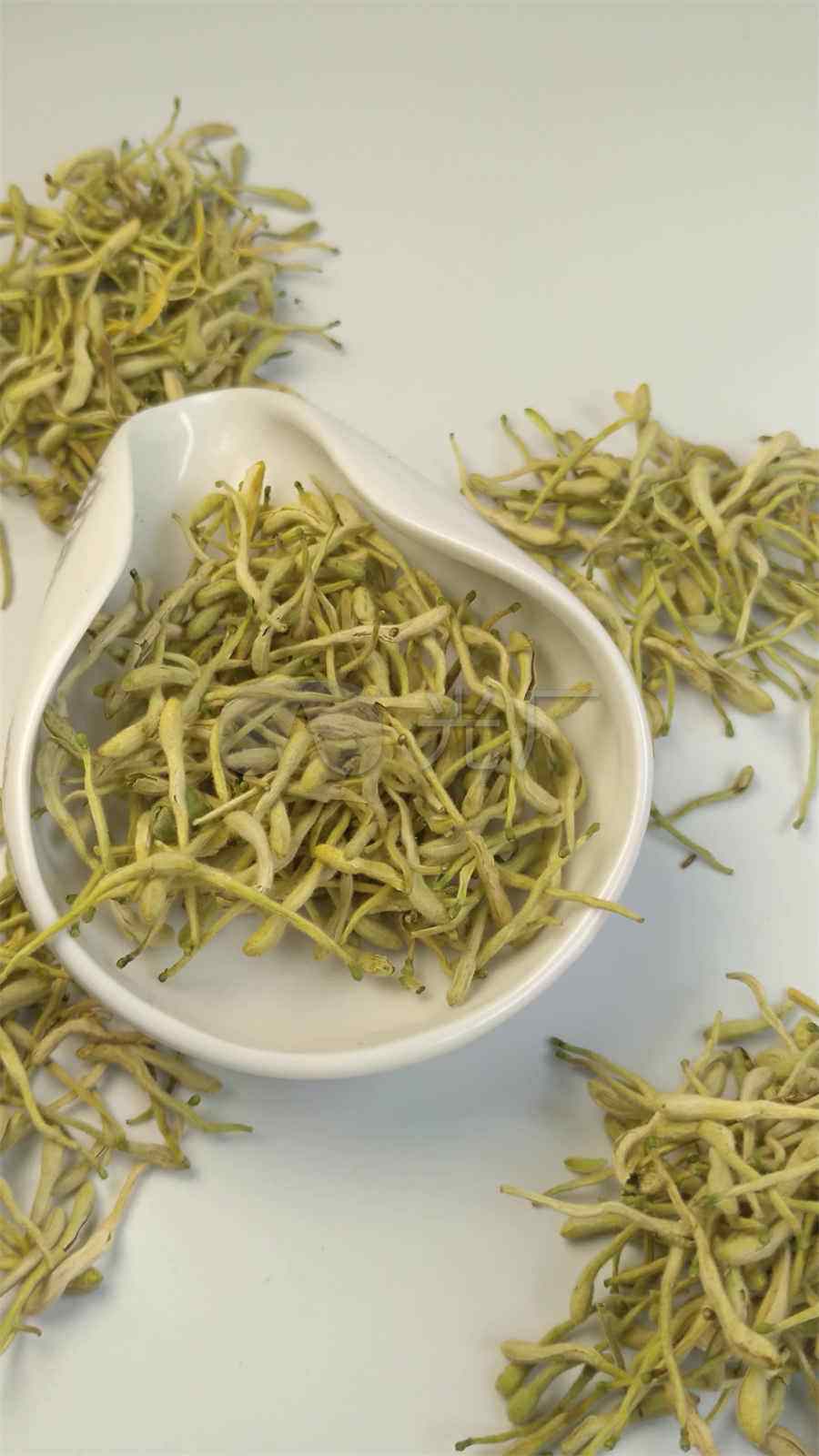 骆驼蓬 骆驼蓬 骆驼蓬 骆驼蓬
