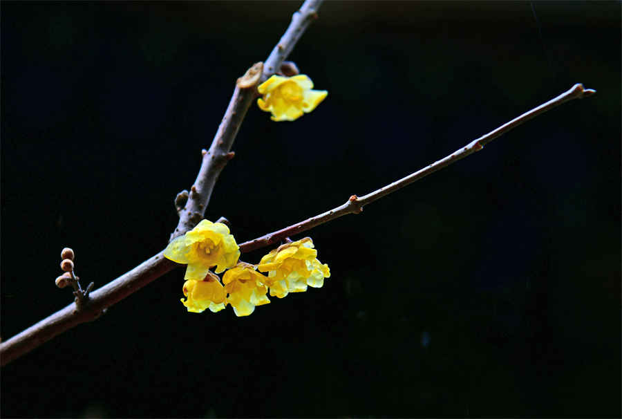 三亚必去十大景点(三亚必去十大景点免费网红) 三亚必去十大景点(三亚必去十大景点免费网红)