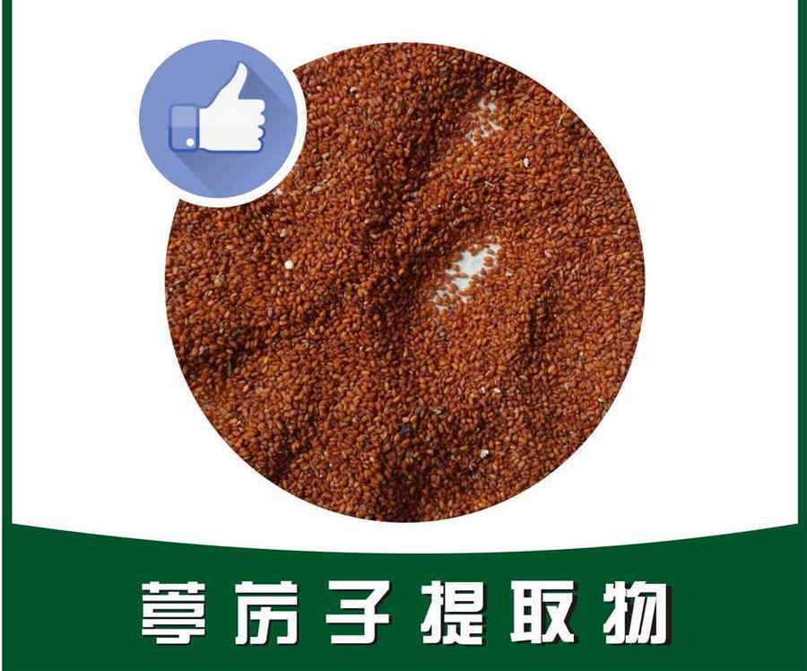 余庆小叶苦丁茶余庆小叶苦丁茶的功效和作用是什么 余庆小叶苦丁茶有什么作用 余庆小叶苦丁茶余庆小叶苦丁茶的功效和作用是什么 余庆小叶苦丁茶有什么作用