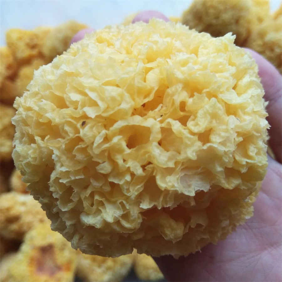 朝阳是什么意思朝阳的解释汉语词典 朝阳什么意思 朝阳是什么意思朝阳的解释汉语词典 朝阳什么意思