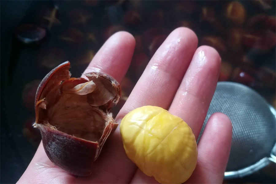 吃三七能长高吗?吃三七可以辅助长高三七粉养生 吃三七能长高吗?吃三七可以辅助长高三七粉养生