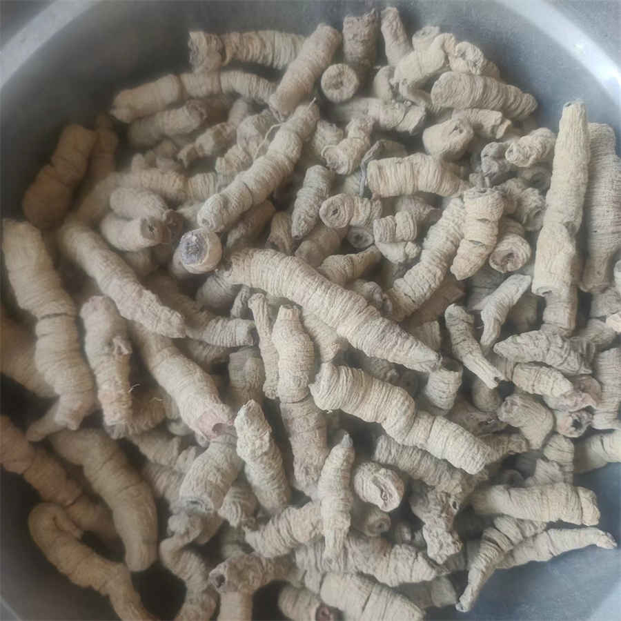 分娩时间一般多长时间 分娩一般多长时间小孩能出来 分娩时间一般多长时间 分娩一般多长时间小孩能出来