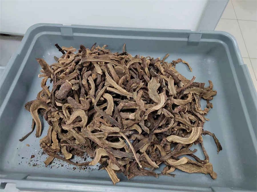 现充是什么意思(现充是什么意思通俗点) 现充是什么意思(现充是什么意思通俗点)