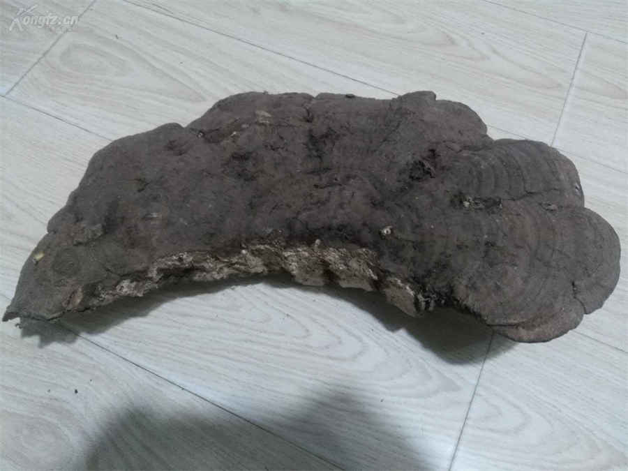 夫妻结婚7年该如何相处 结婚七年夫妻还会有感情吗 夫妻结婚7年该如何相处 结婚七年夫妻还会有感情吗