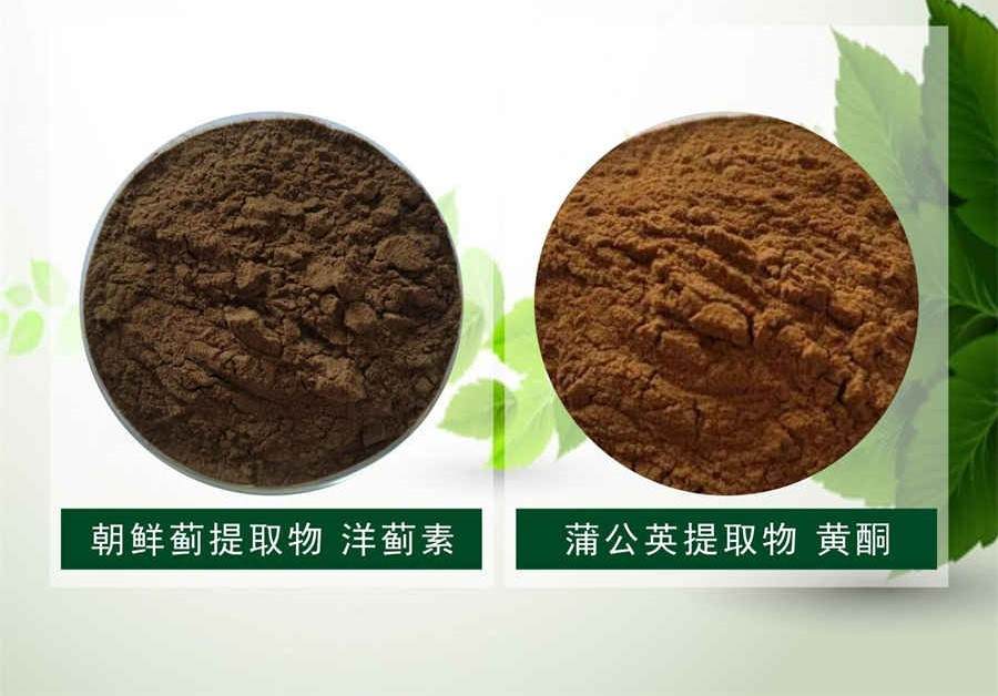 鼻咽癌的存活率 鼻咽癌的存活率是多少 鼻咽癌的存活率 鼻咽癌的存活率是多少