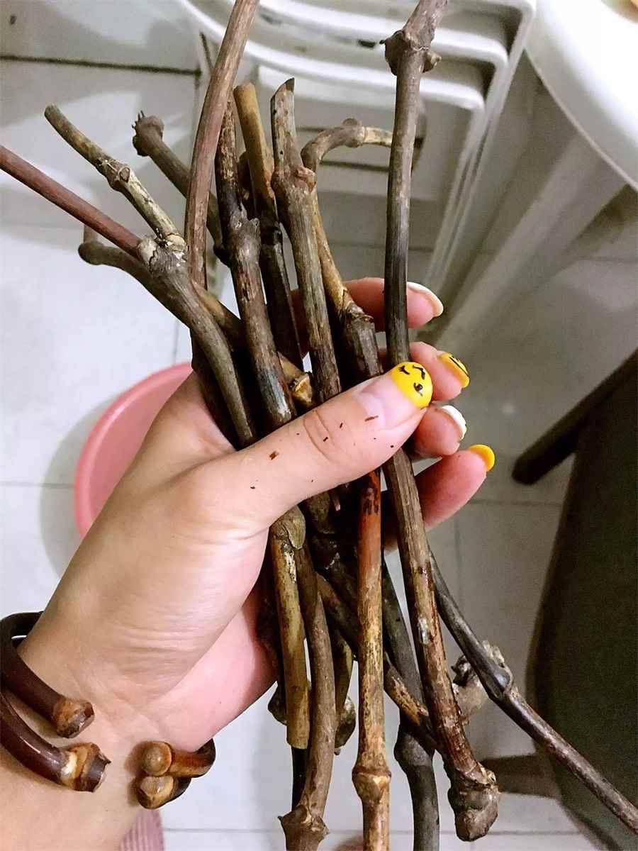 人参粉应该怎么吃?推荐5种人参粉常见吃法中药材使用方法中药材的正确吃法 人参粉应该怎么吃?推荐5种人参粉常见吃法中药材使用方法中药材的正确吃法