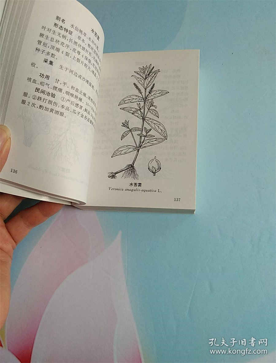 半马多少公里多少时间完成(在规定时间内跑完是多少公里) 半马多少公里多少时间完成(在规定时间内跑完是多少公里)