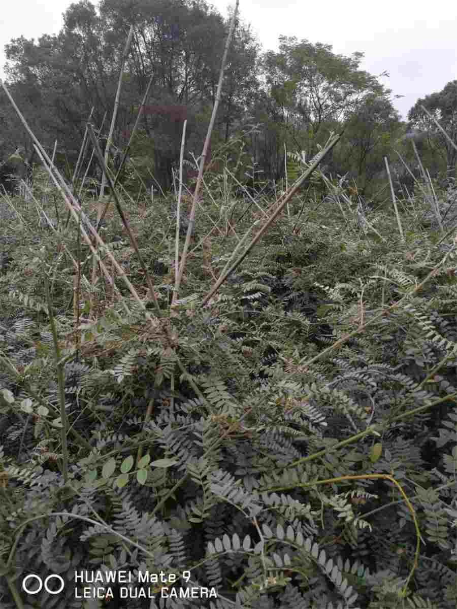 山东网上立案平台(山东立案查询系统) 山东网上立案平台(山东立案查询系统)